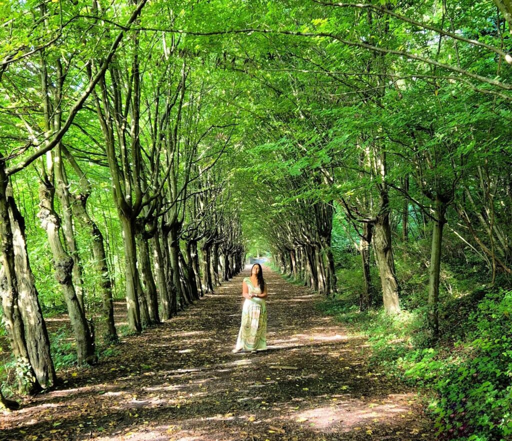 572253501 2214368029076218 8944143857012772548 n